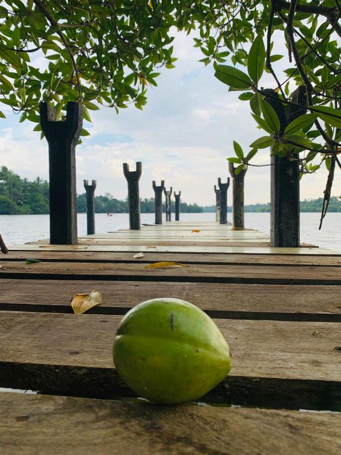 Kalapuwa Resort Balapitiya Bagian luar foto